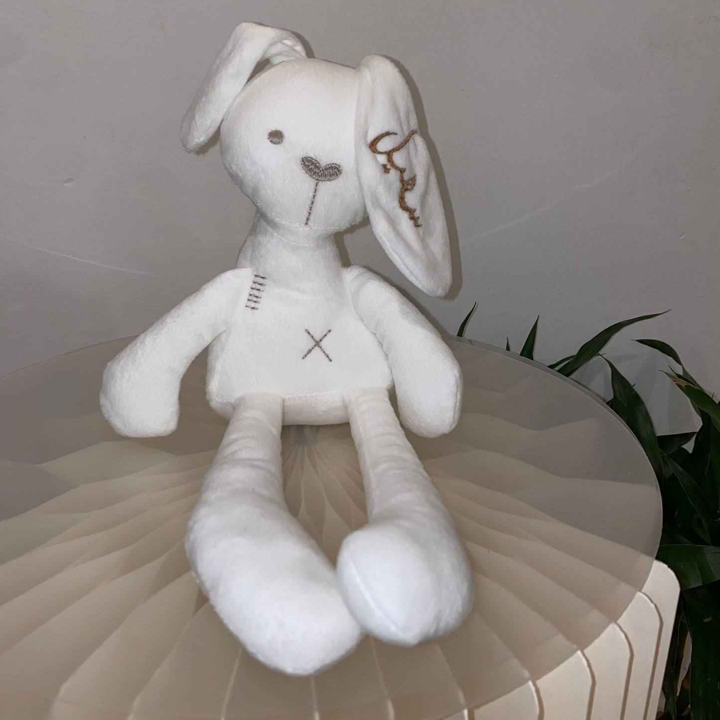 baby humod أرنوب