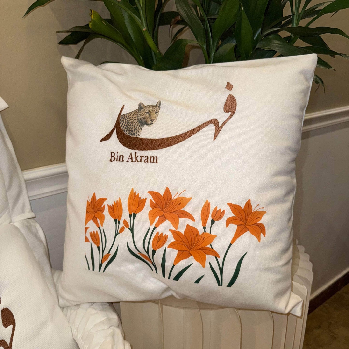 baby humod كوشية
