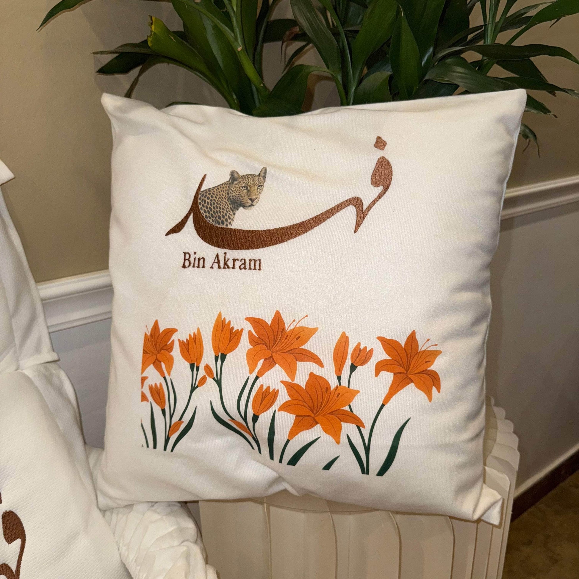 baby humod كوشية
